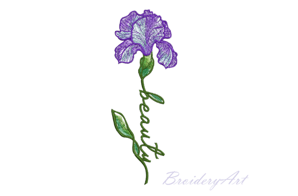 Beauty Iris Embroidery Review