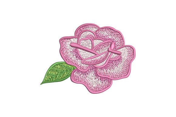 Рink Rose Flower